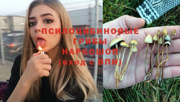 спиды Коряжма