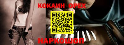 сатива Гатчина