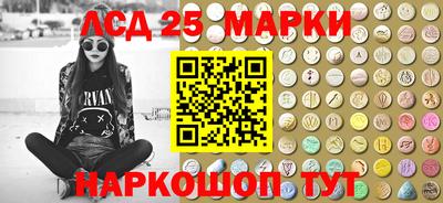 сатива Гатчина