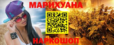 сатива Гатчина