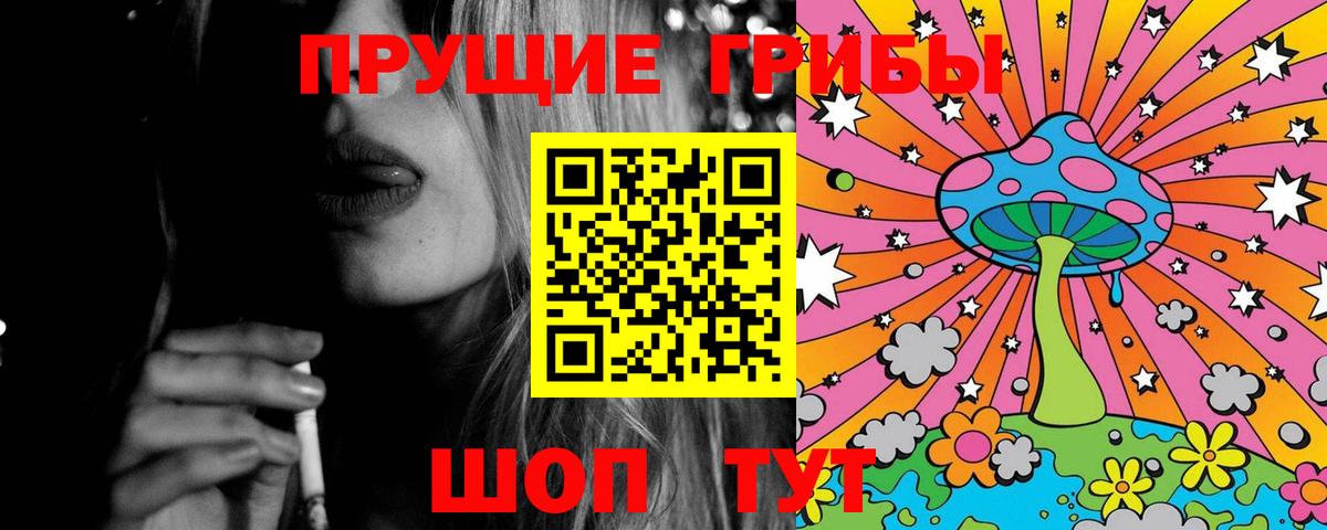 где купить наркотик  Галлюциногенные грибы Cubensis  Вход с VPN  Новокузнецк 